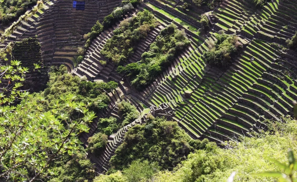 Choquequirao Trek Corto