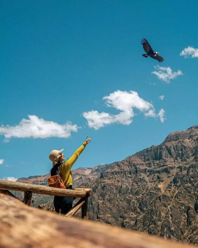 Unforgettable Adventure in Southern Peru